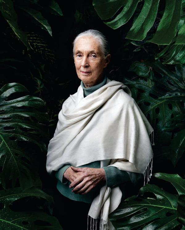 Jane Goodall