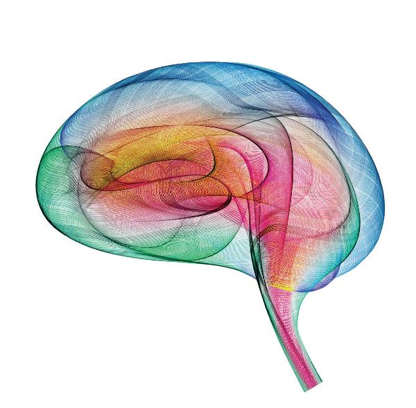 Protect your brain Protect your brain