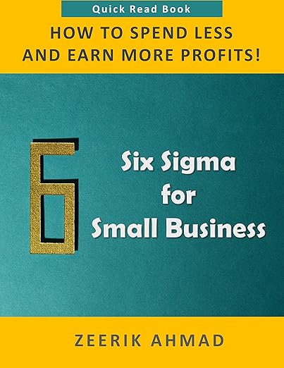 Six Sigma for Small Business