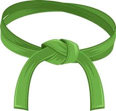 Six Sigma Green Belt