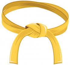 Six Sigma Yellow Belt