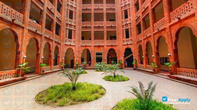 FC College 10